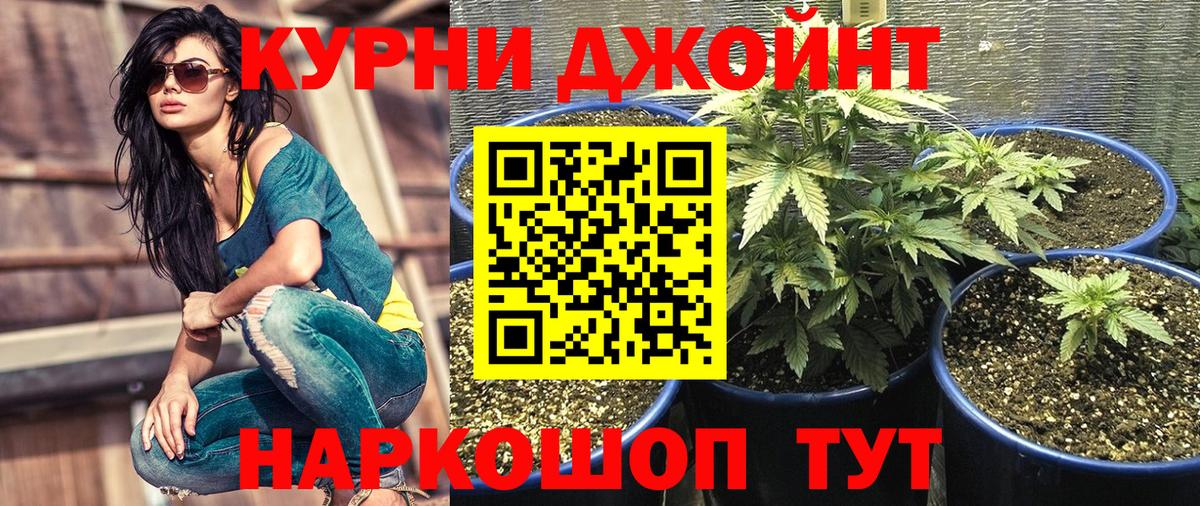 Каннабис план Камень-на-Оби